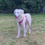 Ersteller:in Marie Profilbild