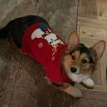 Ersteller:in Martina Profilbild