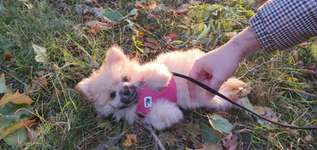 Welche Krankenversicherung-Beitrag-Bild