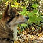 Ersteller:in Denise Profilbild