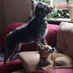 Ersteller:in Frederike Profilbild