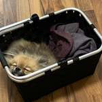 Ersteller:in Nicki Profilbild