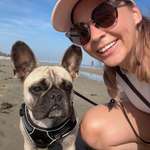 Ersteller:in Aline Profilbild