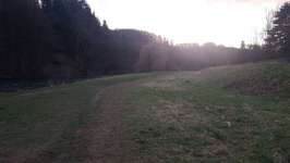 Hundeauslaufgebiet-Overath-Bild