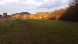 Hundeauslaufgebiet-Overath-Bild