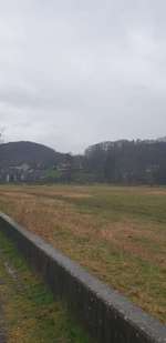 Hundeauslaufgebiet-Overath-Bild