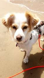 Ersteller:in Petra Profilbild