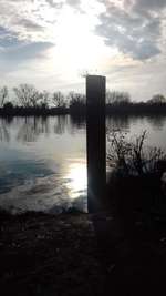 Hundeauslaufgebiet-Hochheimer Mainwiese-Bild