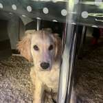 Ersteller:in Katja Profilbild