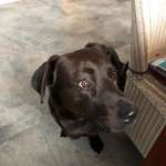 Ersteller:in konver Profilbild