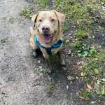 Ersteller:in Benjamin Profilbild