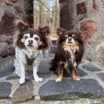 Ersteller:in Ines Profilbild