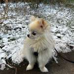 Ersteller:in Laura Profilbild