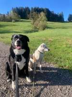 Knubbel Punktieren oder Entfernen?-Beitrag-Bild