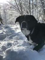 Ruhige Beschäftigung beim Spazierengehen (ohne Hilfsmittel)-Beitrag-Bild