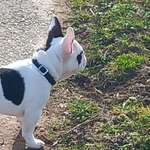 Ersteller:in Eren Profilbild