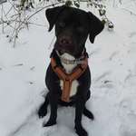 Ersteller:in Sabine Profilbild