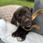 Ersteller:in Sabine Profilbild