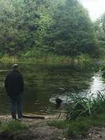 Hundeauslaufgebiet-Huntsteert-Bild