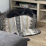 Ersteller:in Birthe Profilbild