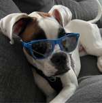 Ersteller:in Sherin Profilbild