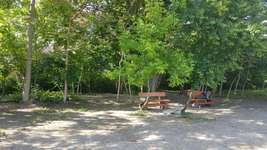 Hundeauslaufgebiet-Am Kulturhaus...-Bild