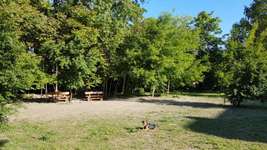 Hundeauslaufgebiet-Am Kulturhaus...-Bild