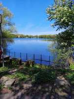 Hundeauslaufgebiet-Bulderner Seen-Bild