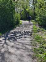 Hundeauslaufgebiet-Bulderner Seen-Bild