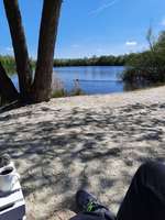 Hundeauslaufgebiet-Bulderner Seen-Bild