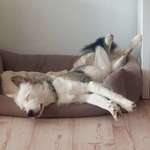 Ersteller:in Sophia Profilbild