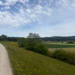 Hundeauslaufgebiet-Wetzikon Sportplatz-Bild