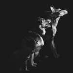 Ersteller:in Angelina Profilbild