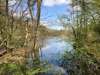 Hundeauslaufgebiet-Naturschutzgebiet NSG Raakmoor-Bild