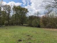 Hundeauslaufgebiet-Kiwittsmoor-Bild