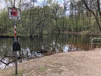 Hundeauslaufgebiet-Kiwittsmoor-Bild