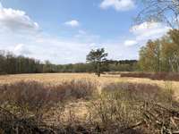 Hundeauslaufgebiet-Naturschutzgebiet NSG Raakmoor-Bild