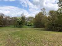 Hundeauslaufgebiet-Kiwittsmoor-Bild