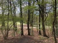 Hundeauslaufgebiet-Kiwittsmoor-Bild