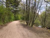 Hundeauslaufgebiet-Kiwittsmoor-Bild