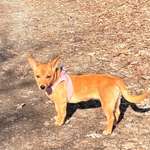 Ersteller:in Raffaela Profilbild