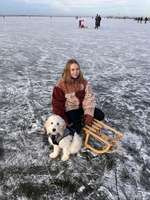 Hundejacke Ja oder Nein-Beitrag-Bild