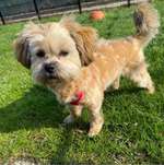 Ersteller:in Kerstin Profilbild