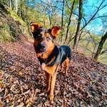 Ersteller:in Nicole Profilbild