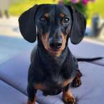 Ersteller:in Anna-Lena Profilbild