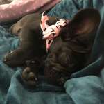 Ersteller:in Mel + Profilbild