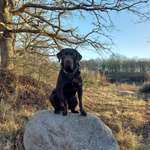 Ersteller:in Bianca Profilbild