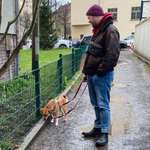 Ersteller:in Niklas Profilbild