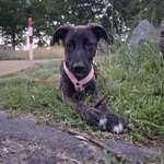 Ersteller:in Little Profilbild