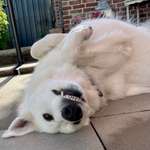 Ersteller:in Phine Profilbild